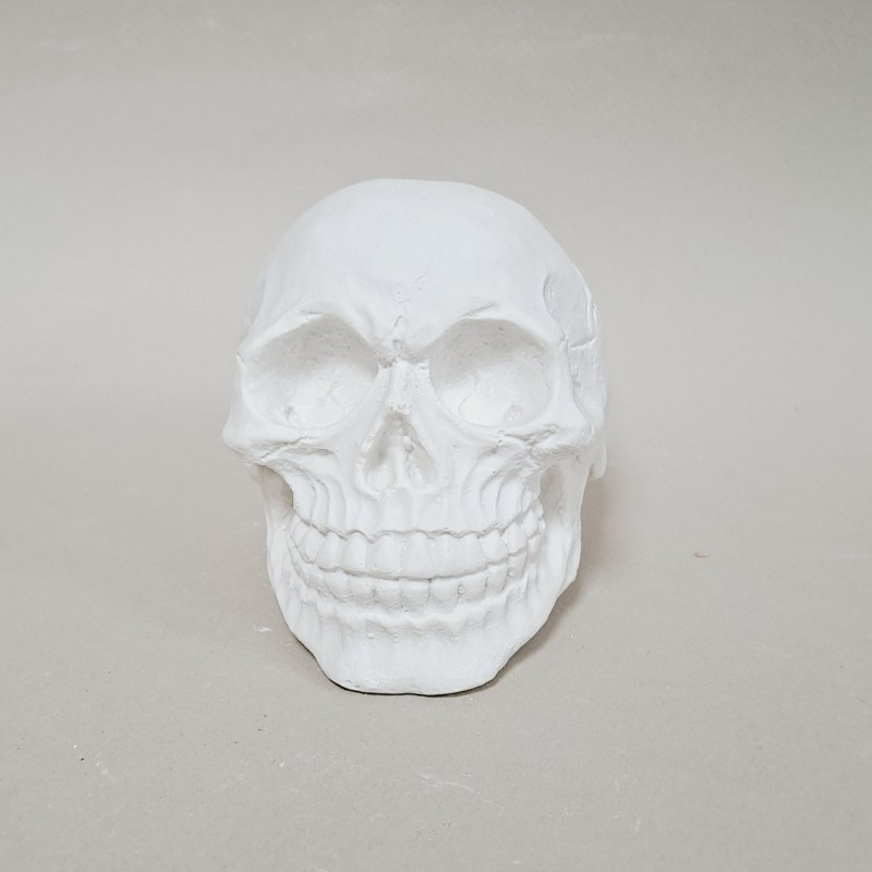 Figura de escayola calavera vista frente