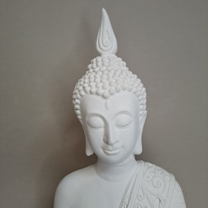 Detalle cara Buda Mahasandhi