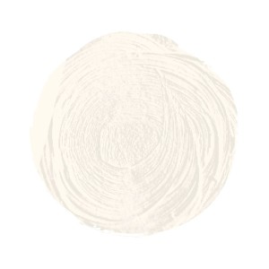 BLANCO ZINC SERIE 2 Nº 6 60 ML OLEO EXTRAFINO TITAN