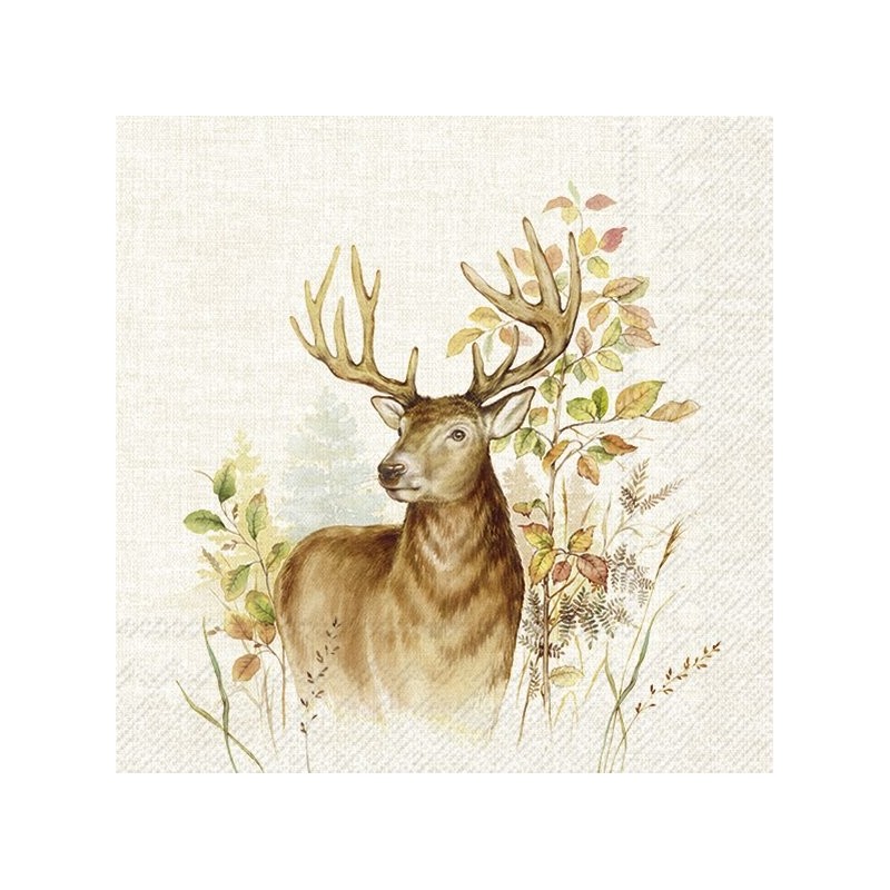 pañuelo con estampado