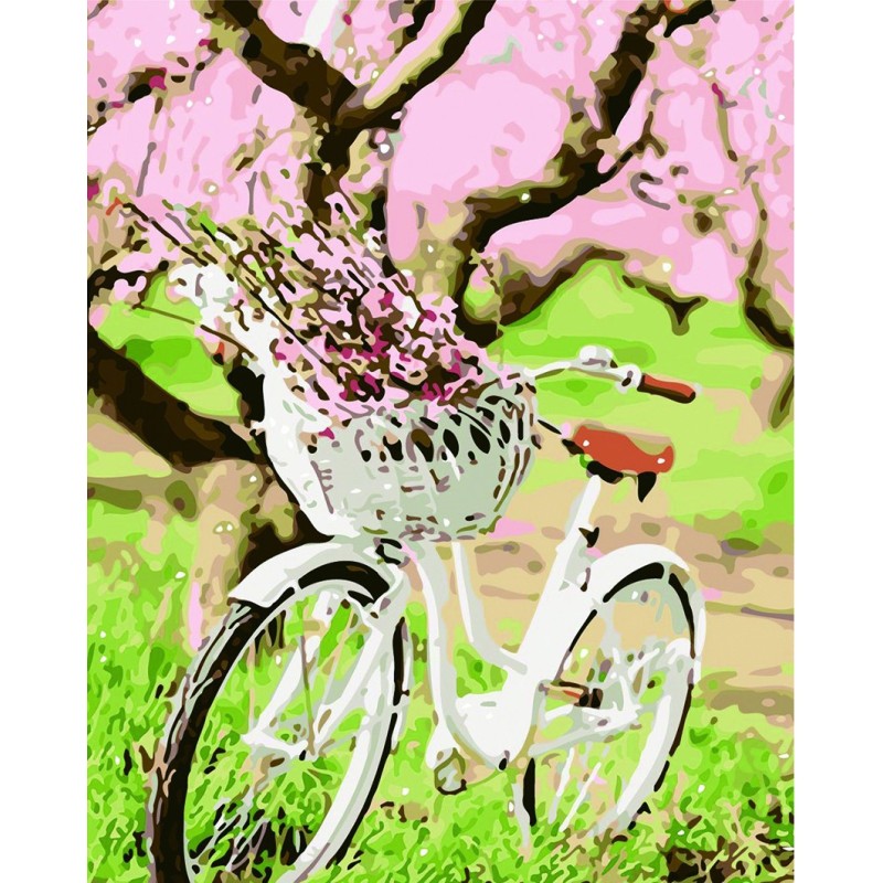 Pintar por números - Bicicleta