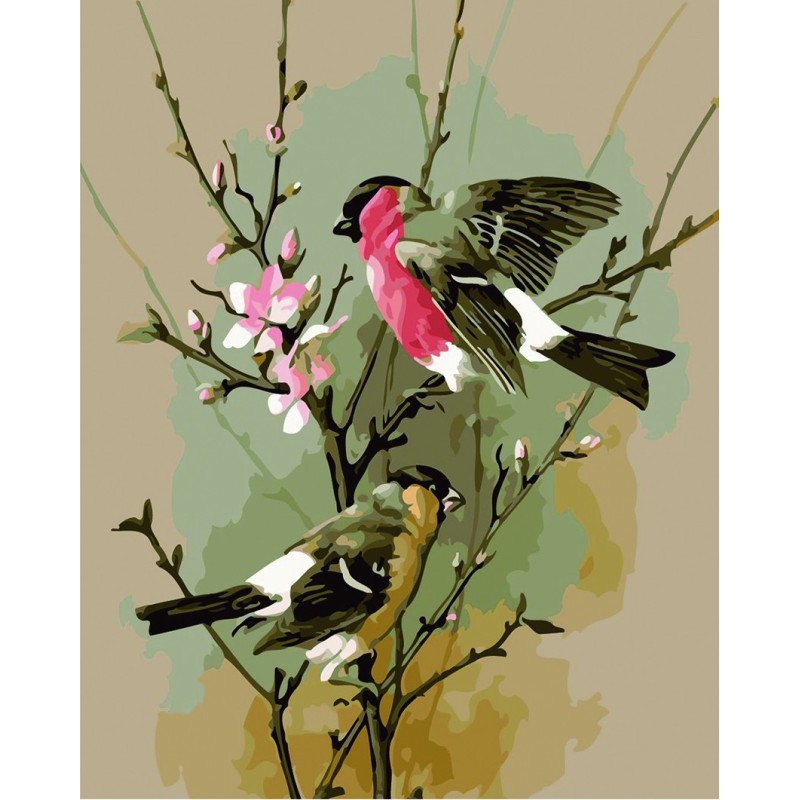 Pintar con números - Pájaros en rama