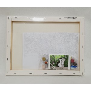 Pintar por números - Gatos en muro - detalle contenido