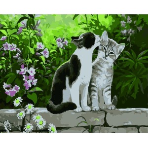 Pintar por números - Gatos en muro