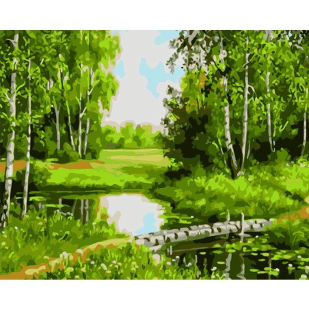 Pintar por números - Paisaje de estanque