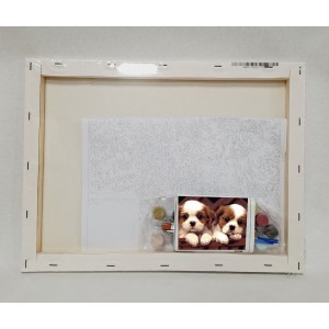 Pinta por números - Preciosos perritos - detalle contenido