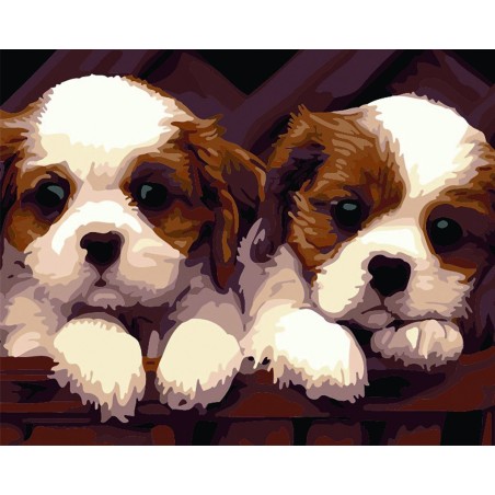 Pinta por números - Preciosos perritos