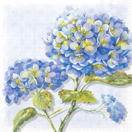5 Servilletas bonitas de flores azules IHR | TOPAZ