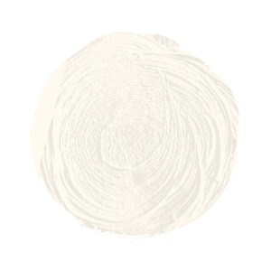 BLANCO ZINC SERIE 2 Nº 6 20 ML OLEO EXTRAFINO TITAN