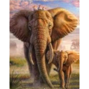 Pintar por números - Elefantes en la selva