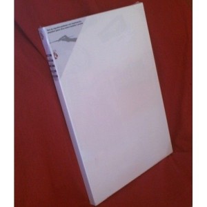 LIENZO DE BASTIDOR DOBLE 41X27