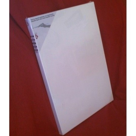 LIENZO DE BASTIDOR DOBLE 65X54