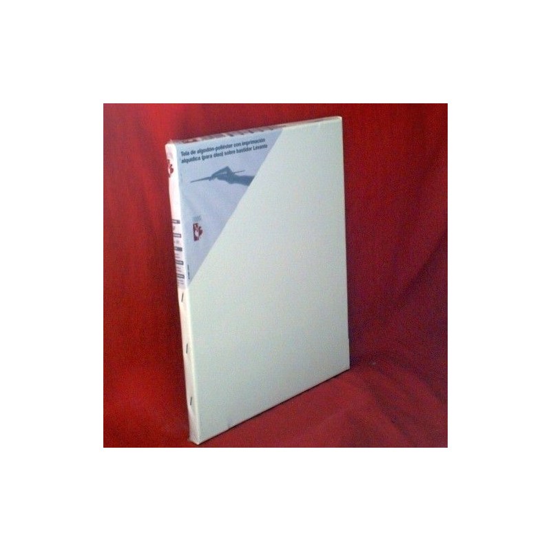 LIENZO DE BASTIDOR SIMPLE 61X38