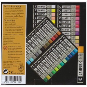 48 PASTELES AL OLEO CAMPUS