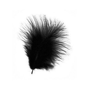 plumas-decorativas-negras