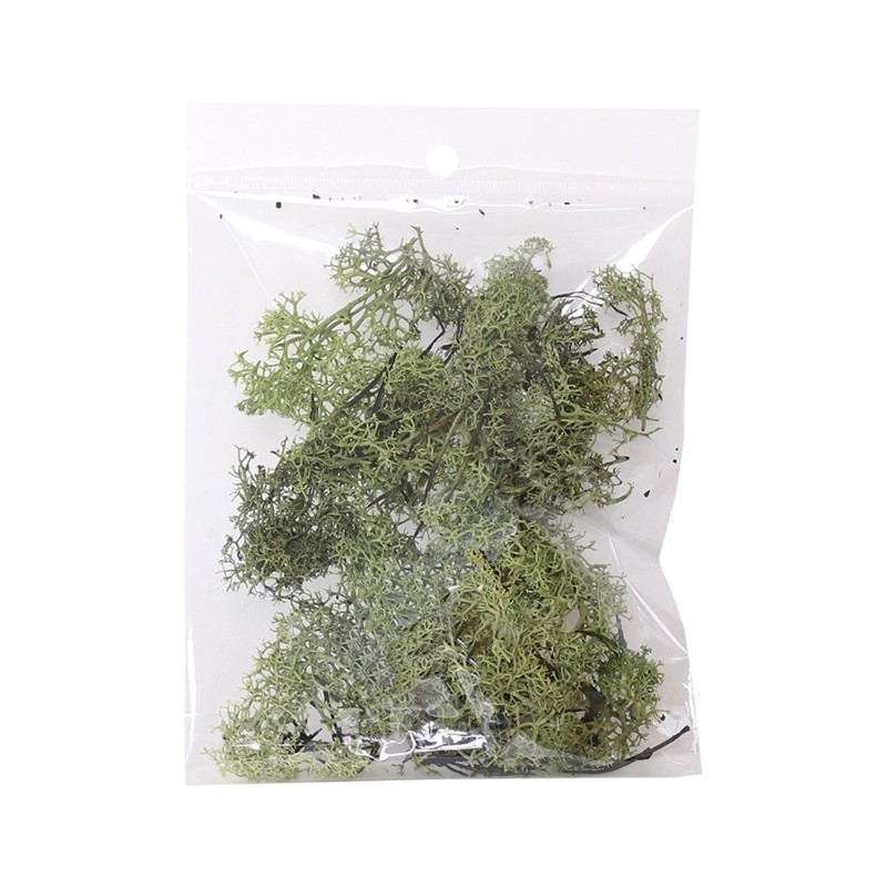 MUSGO VERDE NATURAL 10 GR.