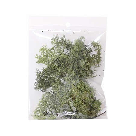MUSGO VERDE NATURAL 10 GR.