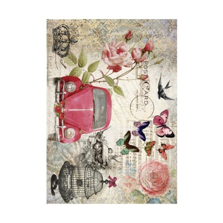 PAPEL DE ARROZ COCHE Y MARIPOSAS 30x41 CM