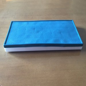 PALETA HÚMEDA 28,3 X 16 CM