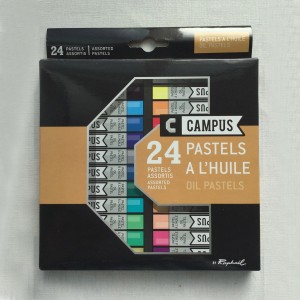 24 PASTELES AL OLEO CAMPUS RAPHAEL