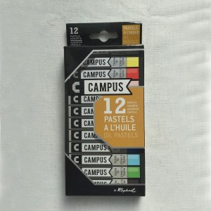 12 PASTELES AL OLEO CAMPUS RAPHAEL